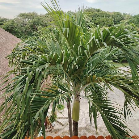 Sunset Fishermen Beach & Spa Resort Playa del Carmen Exterior foto
